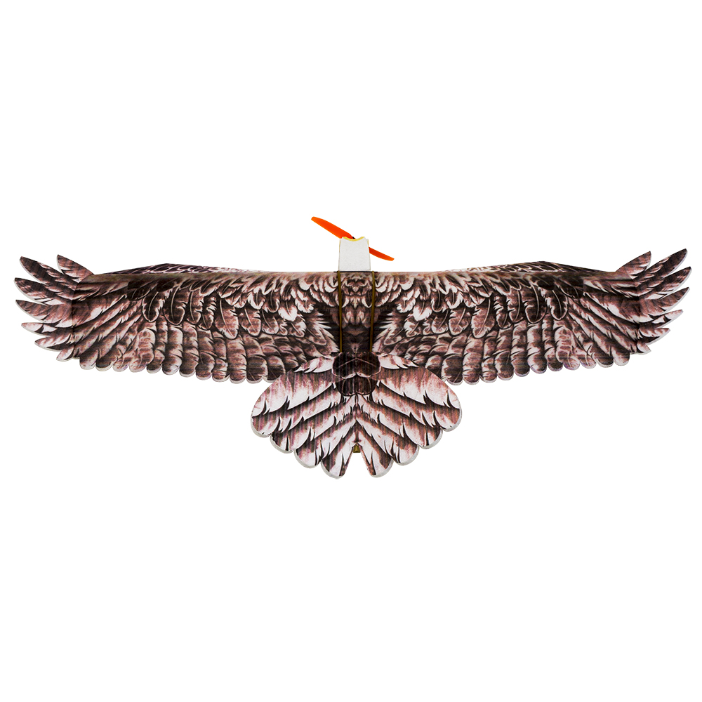 DW Hobby Eagle II EPP avión RC - Rc Hobby Plane reseña y precio